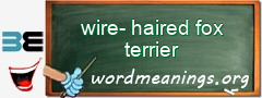 WordMeaning blackboard for wire-haired fox terrier